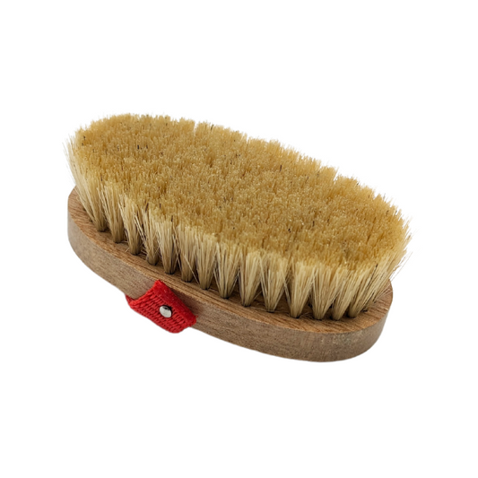 Legends™ Wilbur Body Grooming/Show Brush Natural Boar Bristle