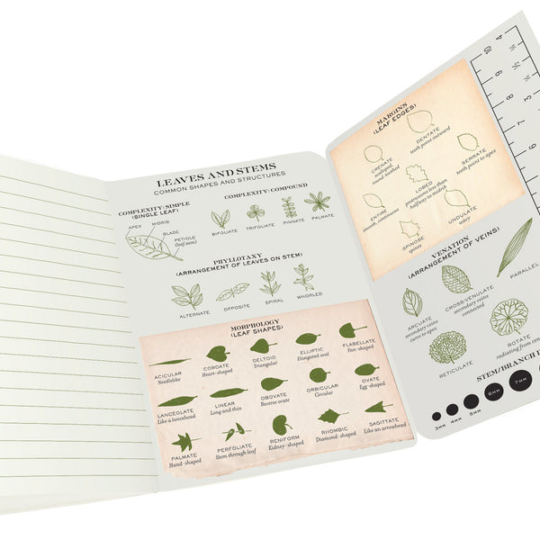 Botany Naturalist's Notebook