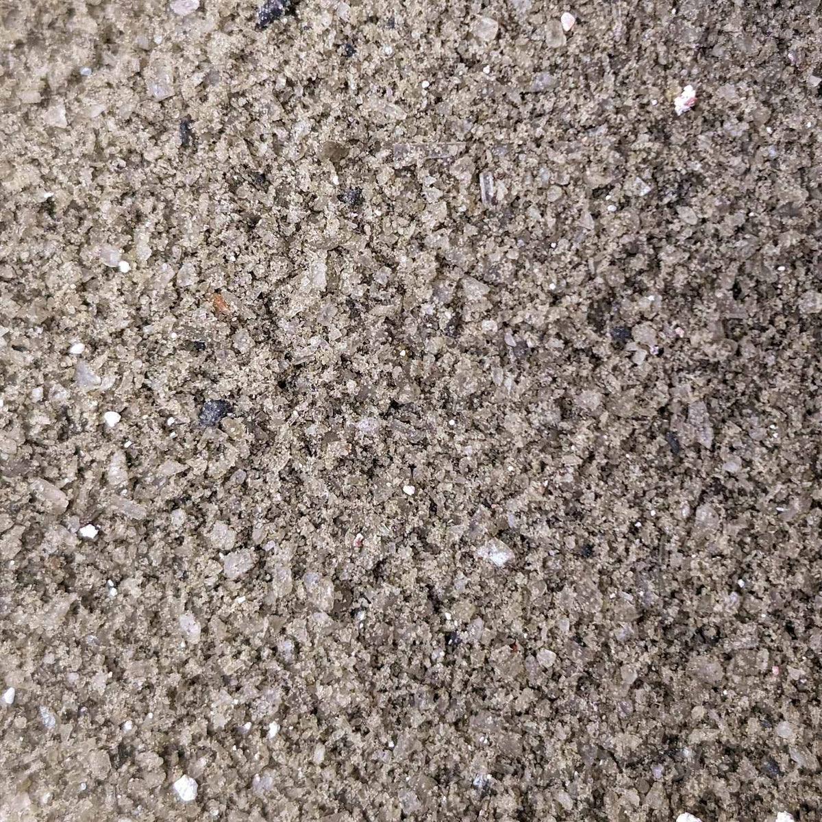 GRASSFED Mineral Buffet Refill – Pure Minerals & Salt