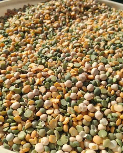 Field Peas, AKA Cull Peas or Split Peas