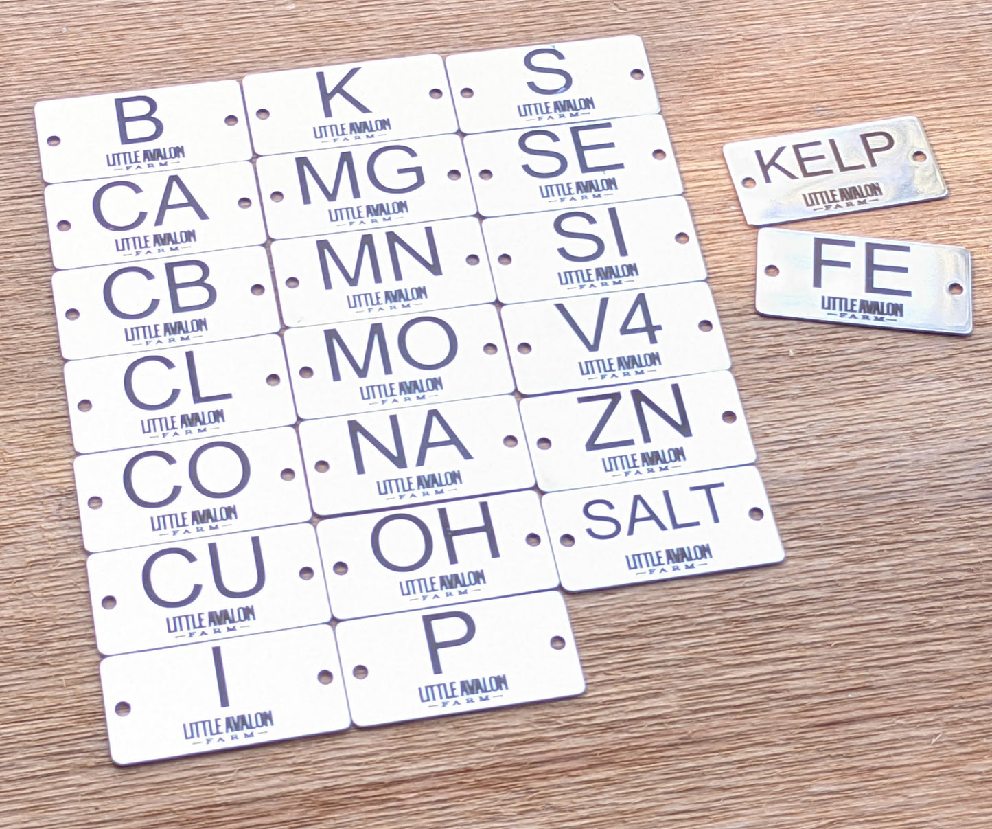 Stainless Steel Mineral Identification Tags – Mineral Buffet by Little ...